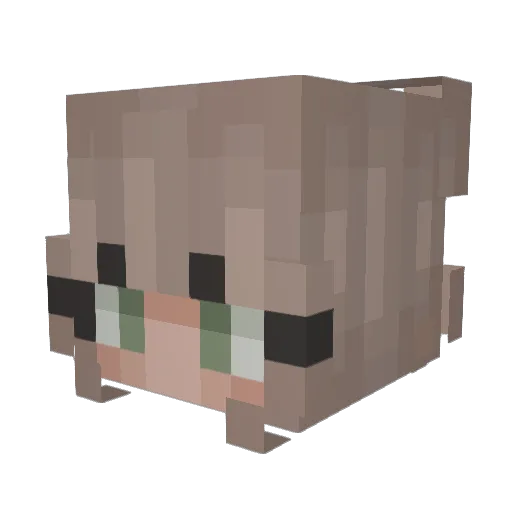 kayise Minecraft avatar head, 3D render