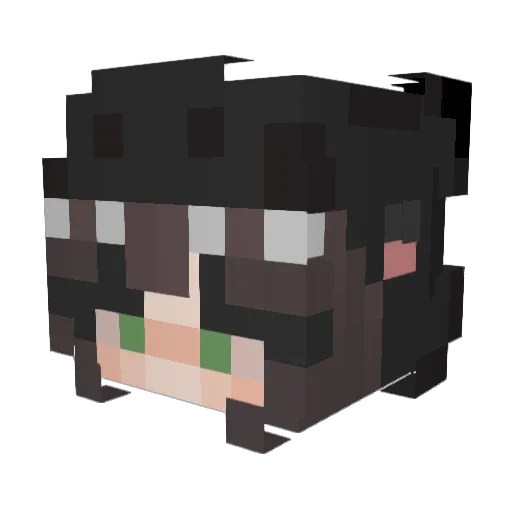 kayka_hh Minecraft avatar head, 3D render
