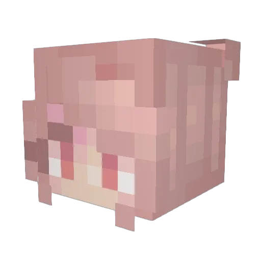 kaykat830 Minecraft avatar head, 3D render