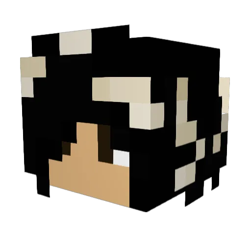 kaykorean Minecraft avatar head, 3D render