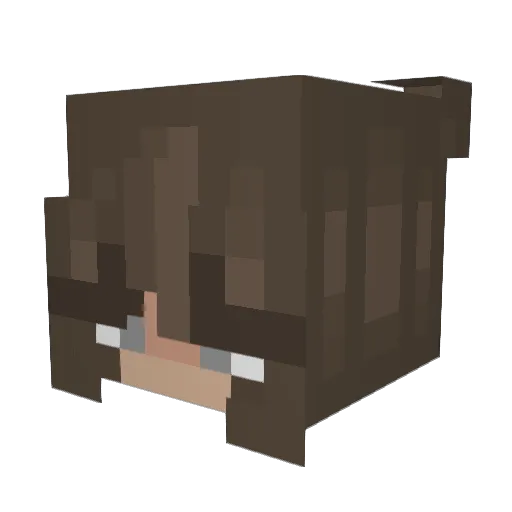 kayla2sweet Minecraft avatar head, 3D render