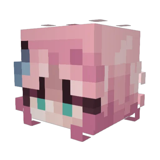 kayla64k Minecraft avatar head, 3D render