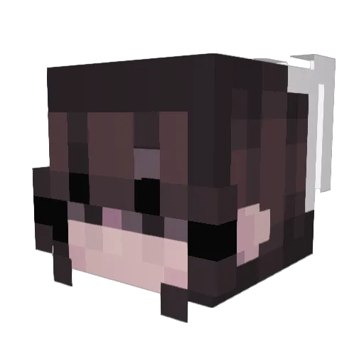 kayla999 Minecraft avatar head, 3D render