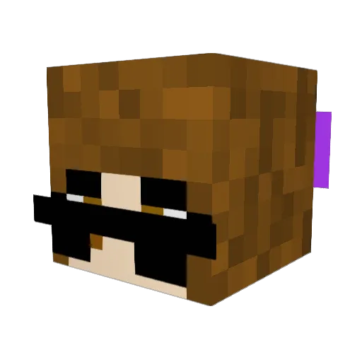 kaylaatooswagg Minecraft avatar head, 3D render