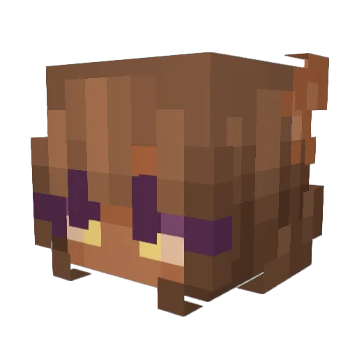 kaylabug Minecraft avatar head, 3D render