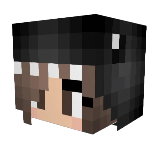 kaylee5656 Minecraft avatar head, 3D render