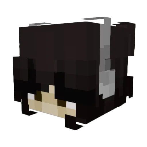 kayleezz Minecraft avatar head, 3D render