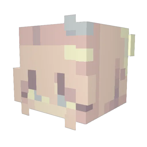 kayleighc5 Minecraft avatar head, 3D render