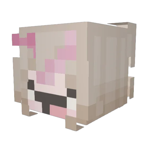 kaylene_ Minecraft avatar head, 3D render