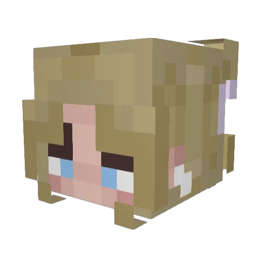 kaylinrolle Minecraft avatar head, 3D render