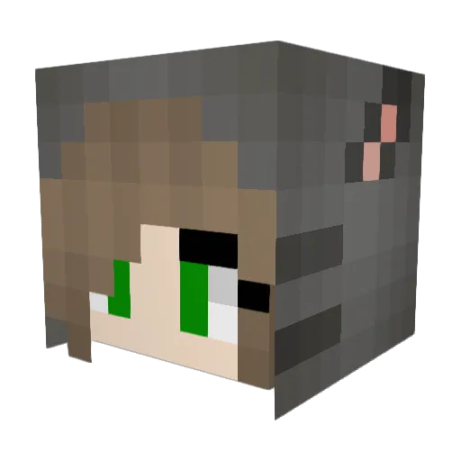 kayllama Minecraft avatar head, 3D render