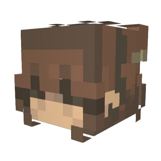 kaylq Minecraft avatar head, 3D render