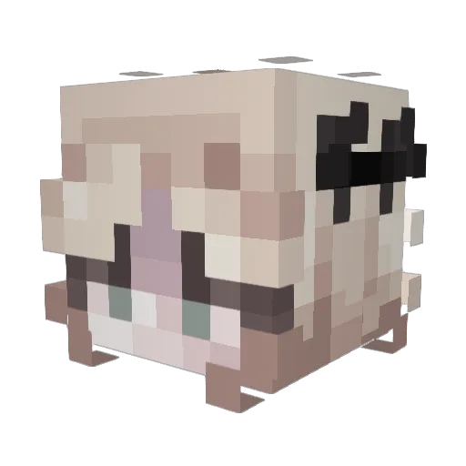 kayoyara Minecraft avatar head, 3D render