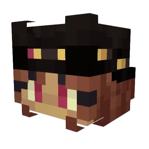 kaypinz Minecraft avatar head, 3D render