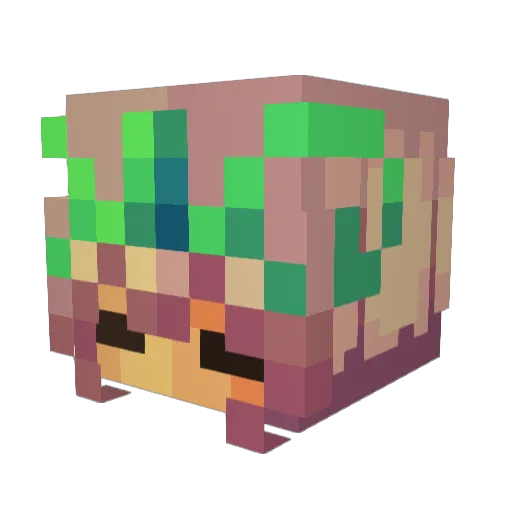 kaysnizzle Minecraft avatar head, 3D render
