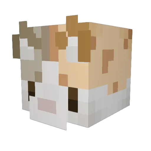 kaytuhlyn Minecraft avatar head, 3D render