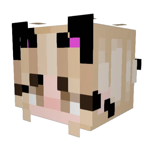 kaywieee Minecraft avatar head, 3D render