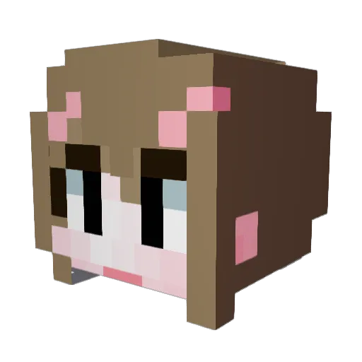 kaywon_074 Minecraft avatar head, 3D render