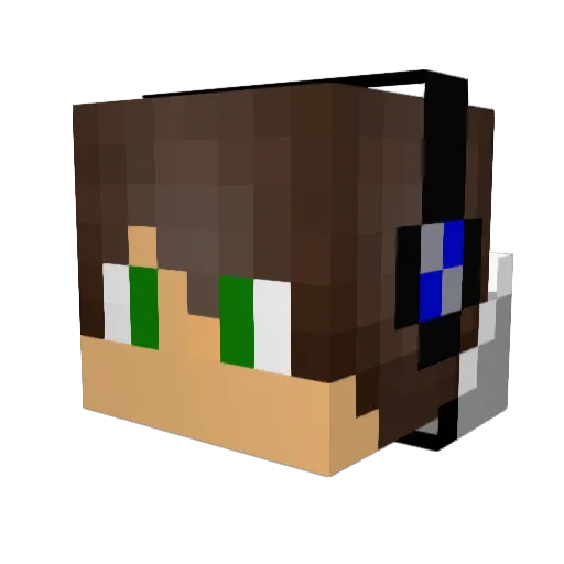 kayydenn Minecraft avatar head, 3D render