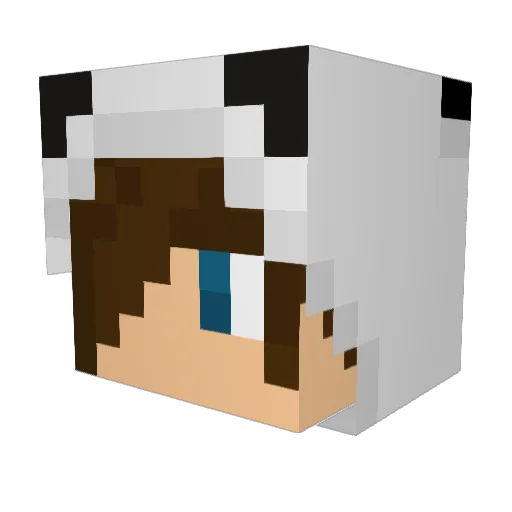 kayzard Minecraft avatar head, 3D render