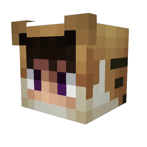 kazzpwf Minecraft avatar head, 3D render