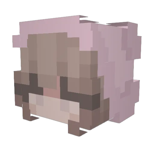 kcct Minecraft avatar head, 3D render
