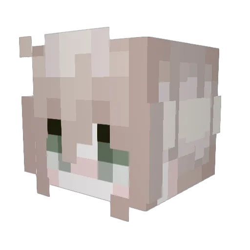 kcmaeda Minecraft avatar head, 3D render