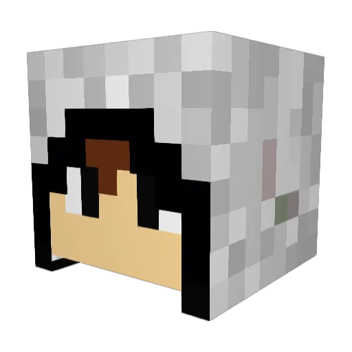 kd372 Minecraft avatar head, 3D render