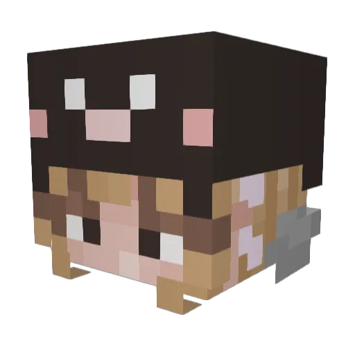 kdentyl Minecraft avatar head, 3D render