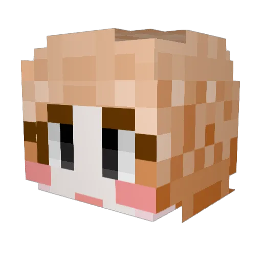 kdh2199 Minecraft avatar head, 3D render