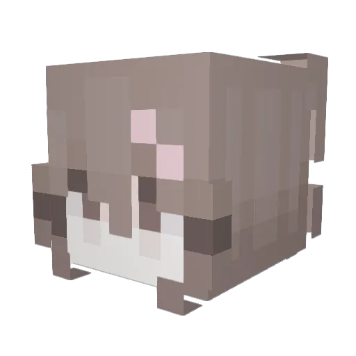 kdoaujweo Minecraft avatar head, 3D render