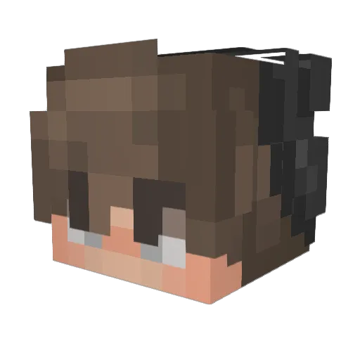 kdoggy1691 Minecraft avatar head, 3D render
