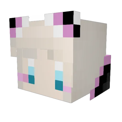 kduki Minecraft avatar head, 3D render