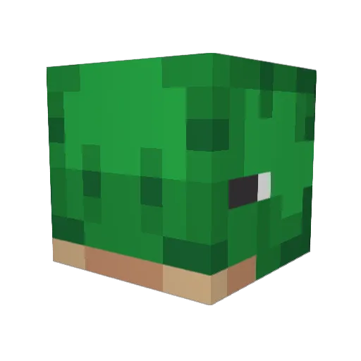 keeturtle_ Minecraft avatar head, 3D render