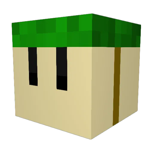 kefir348 Minecraft avatar head, 3D render