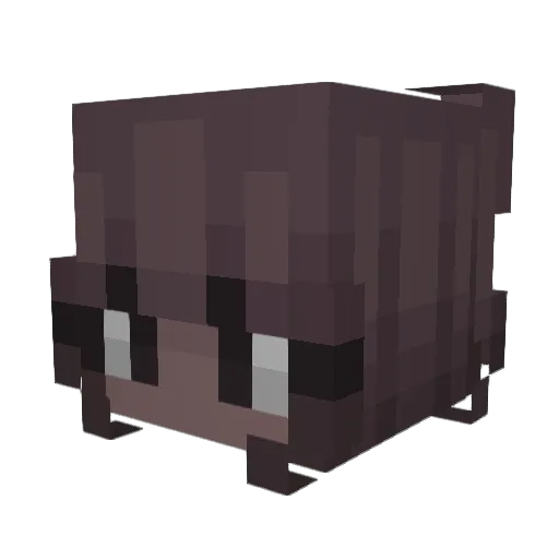 keinucci Minecraft avatar head, 3D render