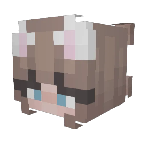 keliskasa Minecraft avatar head, 3D render