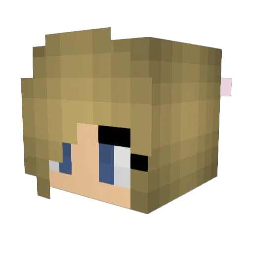 kelldog0810 Minecraft avatar head, 3D render
