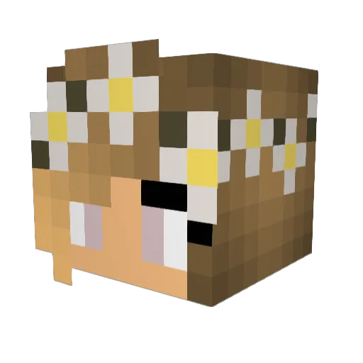 kellkell26 Minecraft avatar head, 3D render