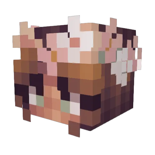 kellybelly7173 Minecraft avatar head, 3D render