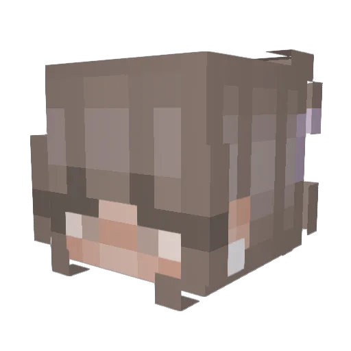 kellykbjfu Minecraft avatar head, 3D render