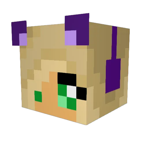 kels240 Minecraft avatar head, 3D render