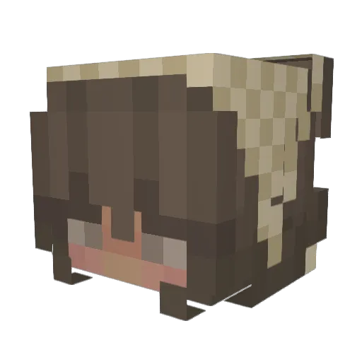 kels_19 Minecraft avatar head, 3D render