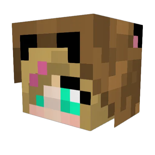 kelseeeeee Minecraft avatar head, 3D render