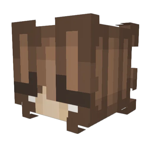 kelykitty98 Minecraft avatar head, 3D render