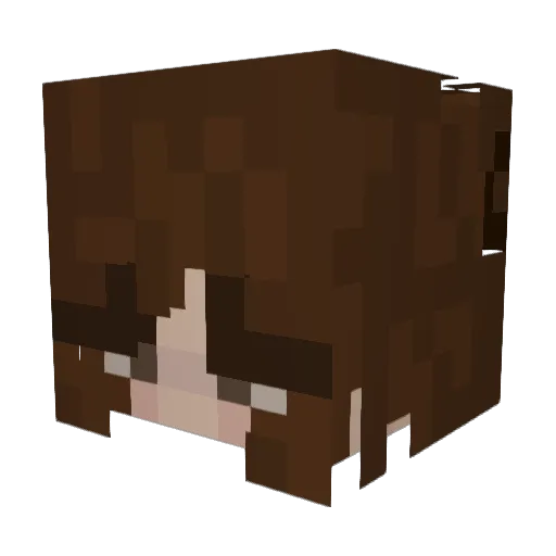 kennely Minecraft avatar head, 3D render
