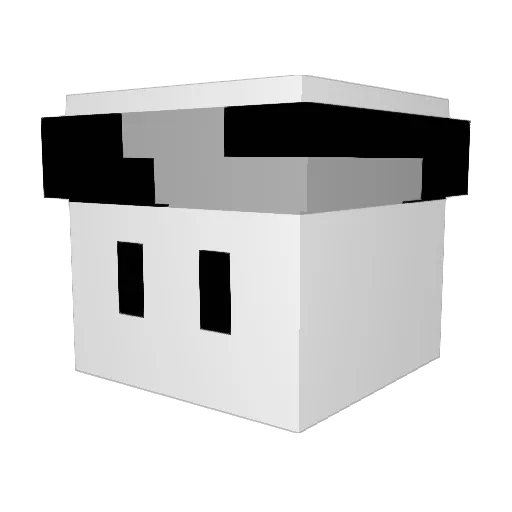 kennykaleb Minecraft avatar head, 3D render