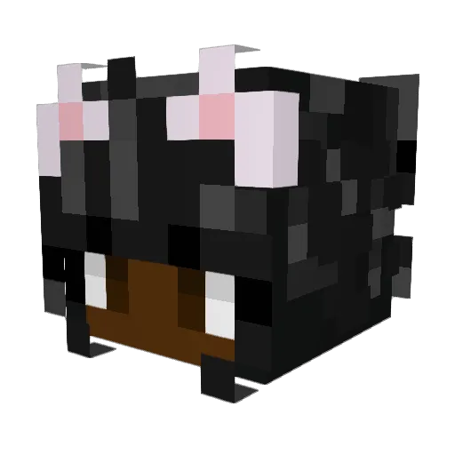 kennynorth901 Minecraft avatar head, 3D render