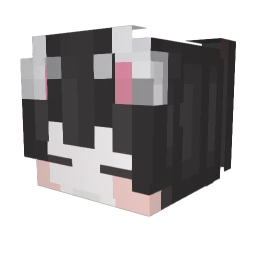 kenoi Minecraft avatar head, 3D render