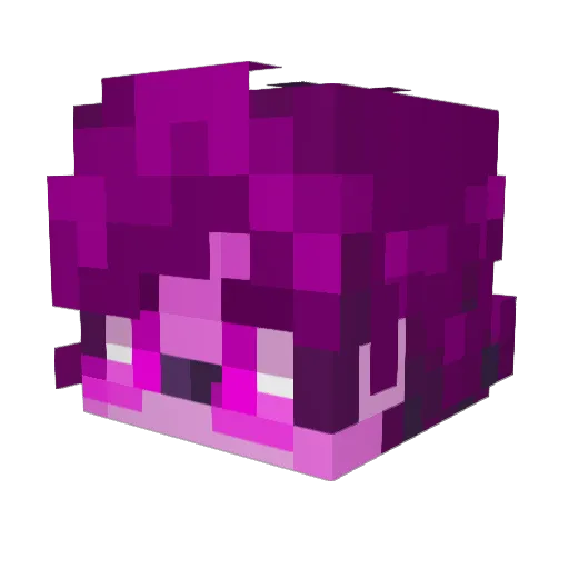 kenwayz_ Minecraft avatar head, 3D render